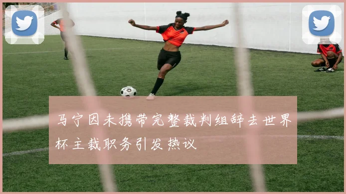 马宁因未携带完整裁判组辞去世界杯主裁职务引发热议